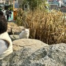 북산역사공원 이미지