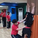 강철태권도체육관 이미지