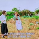 만물민박 이미지