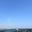 성읍분투왓