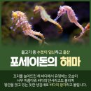 원띵 비헬스