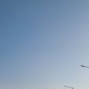 클로버동물병원 이미지