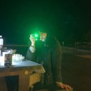 로로포레 | 서울 근교 1박2일 단풍 구경 스팟 가평 남이섬 여행