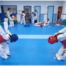 하랑태권도 이미지