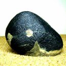 수석전시관 이미지