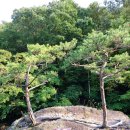 와운통나무산장가든 이미지