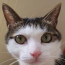 사람이 그리워서 홍 이미지