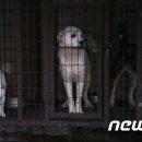 천선농장 뉴스1