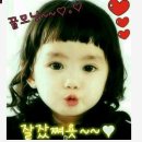 삼오 이미지