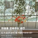 브라운콤마