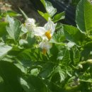 소연농장 이미지