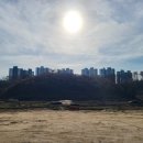 감동공인중개사사무소 이미지