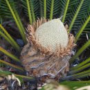 로뎀가든 이미지