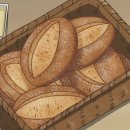 제빵기능사 이미지