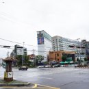 그린포레 이미지