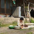 푸른산내들 이미지