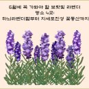 진성팜 이미지