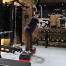 달리짐(DALLI GYM) | 왕십리헬스장 플레먼트짐 11회 피티 어깨운동 루틴 후기