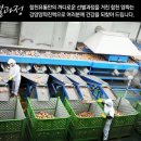 정민식품
