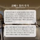[ 교육 후기 ] 2024~2025 공배스힐러 과정 후기