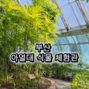 신선로 447번길 이미지