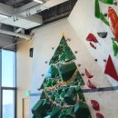 캐치스톤 클라이밍짐 | [부천] 캐치스톤클라이밍짐 부천역점, 첫꿀보라(내돈내산)