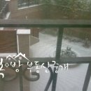 복플러스공인중개사사무소 이미지