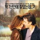 세렌디피디 이미지