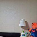 소로1-신일7 | 가열식 가습기 신일 물멍 3L 무드등 가습기 사용 후기