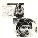 뻐꾸기둥지 이미지