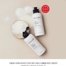 비바 인셀덤