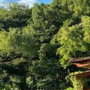 나나펜션 이미지