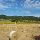 삼배농장 이미지