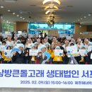 제주 돌고래 이미지
