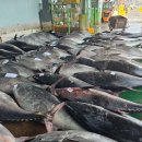 바다참치수산 네이버블로그