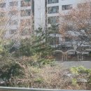 태성아파트 이미지