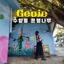 수양동 주민센터 | 거제 수양동 어린왕자 은행나무 명소 실시간 후기 감성 사진 명소