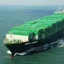 디지탈에버그린 이미지