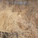 거창군웅양면하성보건진료소 이미지