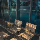 베스트 애견 이미지