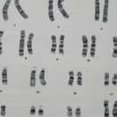 키즈앤하이성장의원 이미지