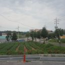 시곡3통경로당 이미지