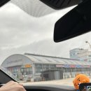 어진횟집 | 강원도 고성 회 포장 거진항 어진횟집 솔찍후기.. 😭