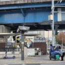 영남종합시장 | 대구 생굴, 김장굴 파는 곳. 도매느낌 싱싱함 칠성시장 영남해물상회