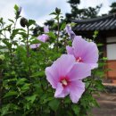 금수강산 이미지