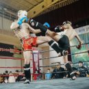 서울태권도장 이미지