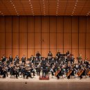 교향악단 제126회 정기연주회 이미지