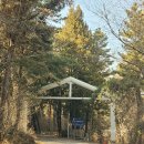 남해-216 | 남해 가볼 만한 곳 추천! 겨울의 '상상양떼목장' 사랑앵무와 양 떼들이 반겨주는 힐링 스팟