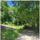 제일행정사 이미지