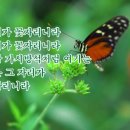 우리꽃자리 이미지